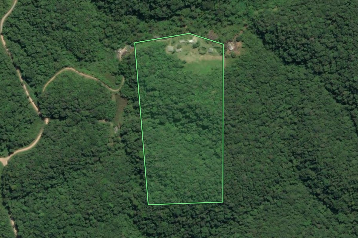 Imagem de satélite do imóvel rural em Sete Barras (SP), com o contorno declarado no CAR desenhado por cima.