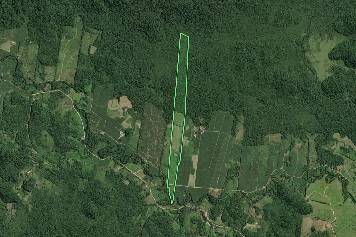 Imagem de satélite do imóvel rural em Sete Barras (SP), com o contorno declarado no CAR desenhado por cima.