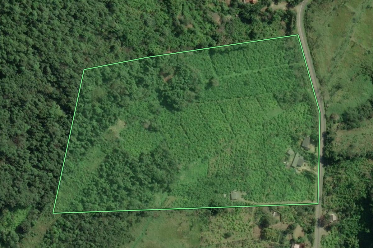 Imagem de satélite do imóvel rural em Sete Barras (SP), com o contorno declarado no CAR desenhado por cima.