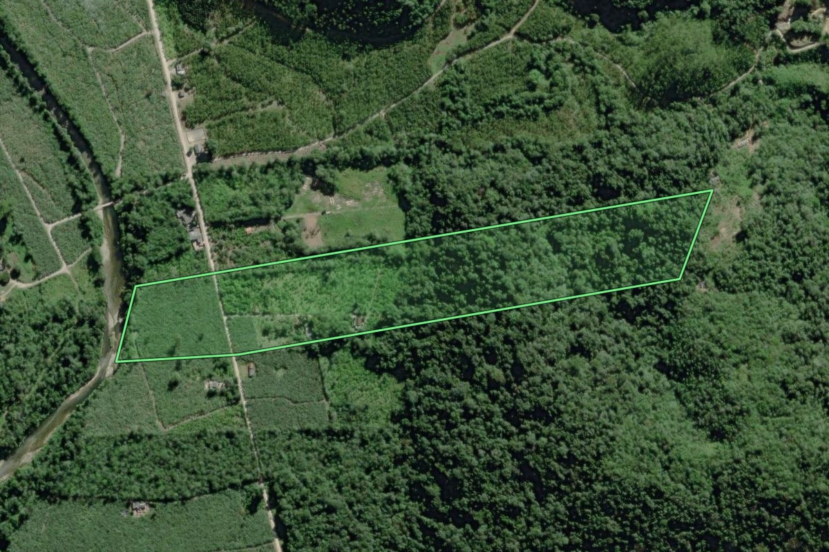 Imagem de satélite do imóvel rural em Sete Barras (SP), com o contorno declarado no CAR desenhado por cima.