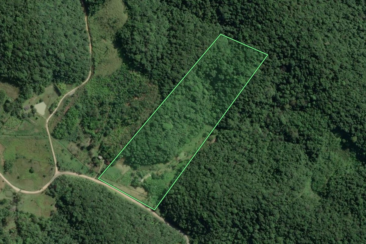 Imagem de satélite do imóvel rural em Sete Barras (SP), com o contorno declarado no CAR desenhado por cima.