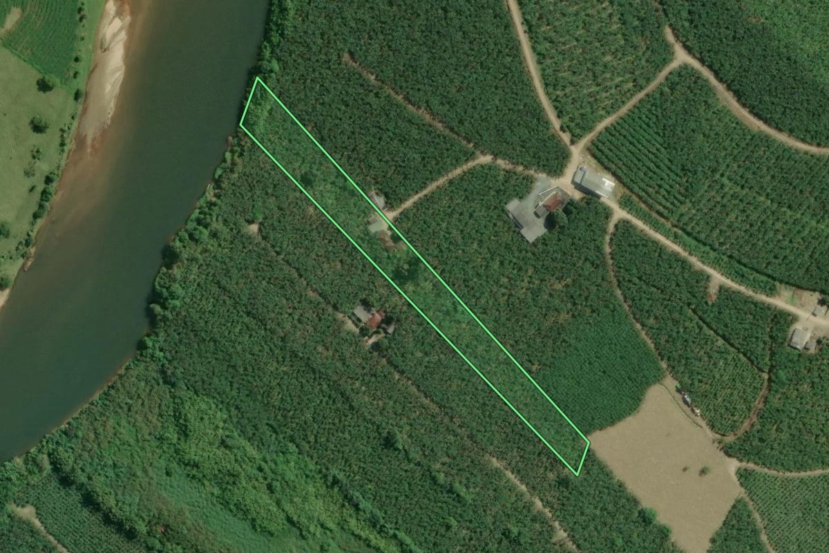Imagem de satélite do imóvel rural em Sete Barras (SP), com o contorno declarado no CAR desenhado por cima.