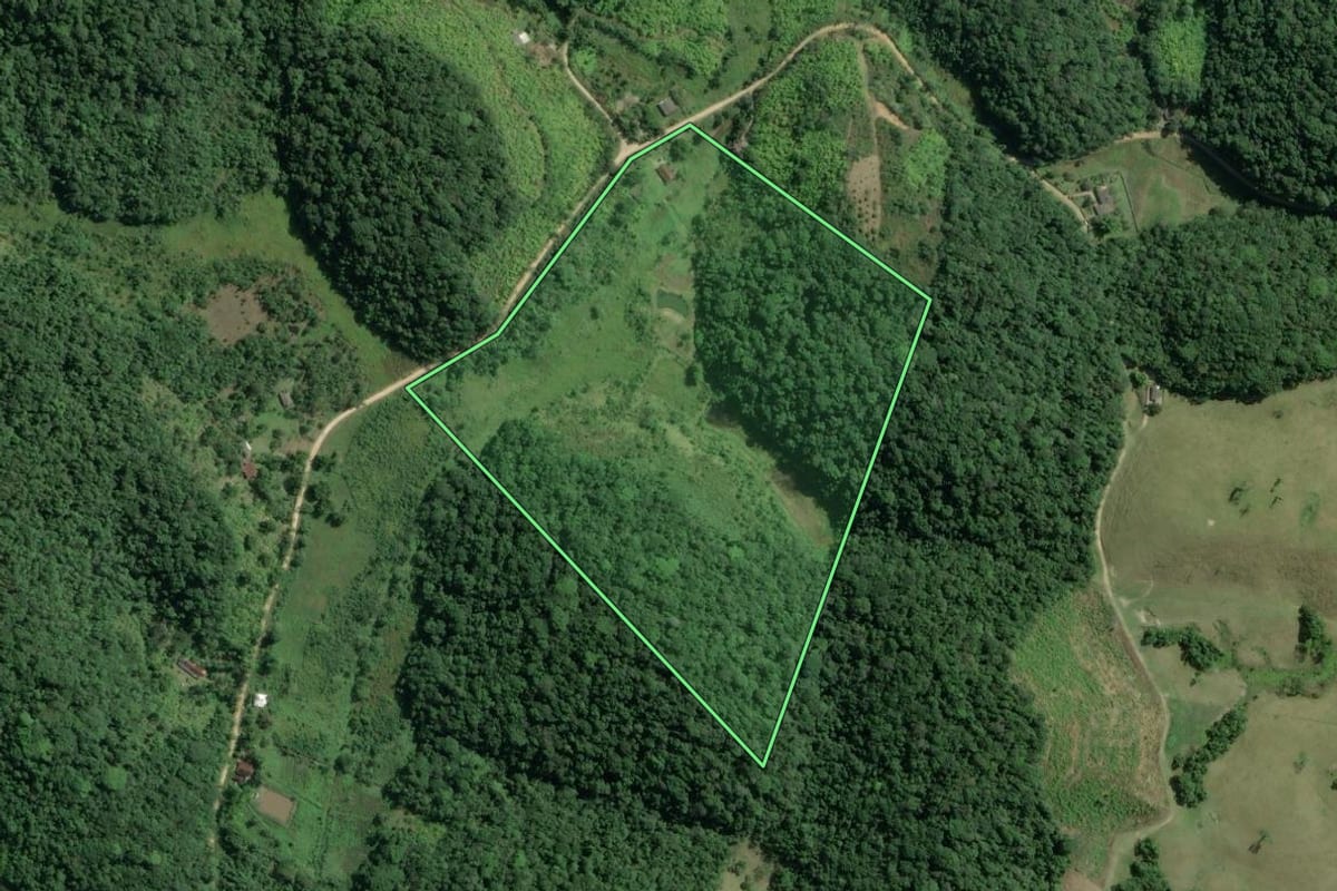 Imagem de satélite do imóvel rural em Sete Barras (SP), com o contorno declarado no CAR desenhado por cima.