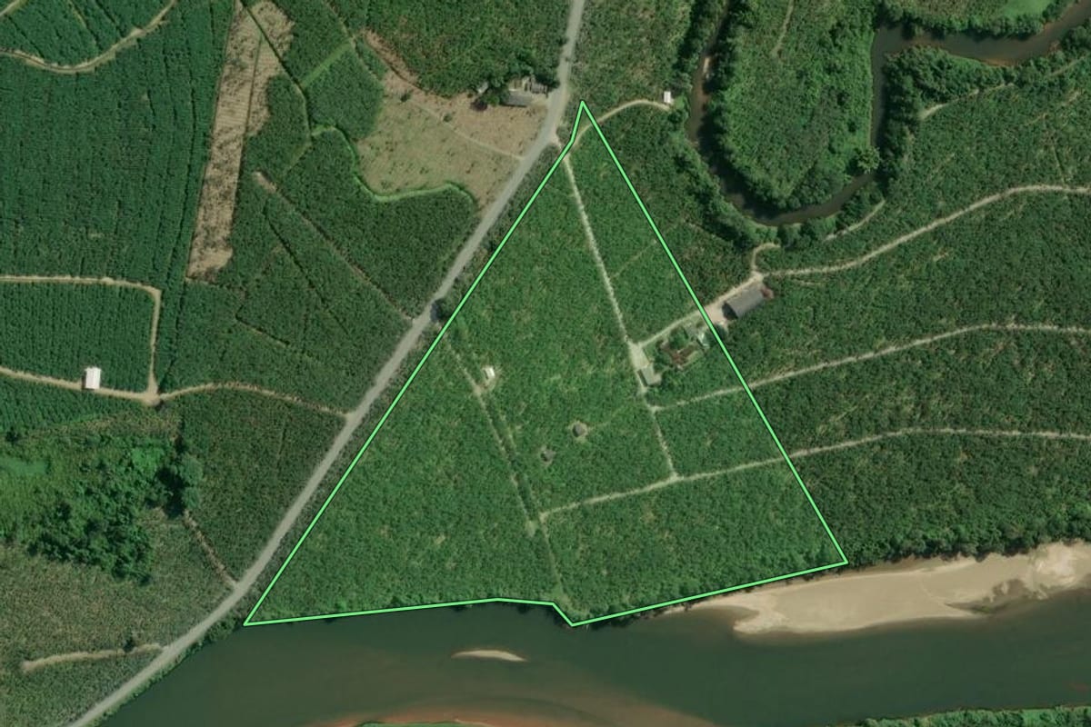 Imagem de satélite do imóvel rural em Sete Barras (SP), com o contorno declarado no CAR desenhado por cima.
