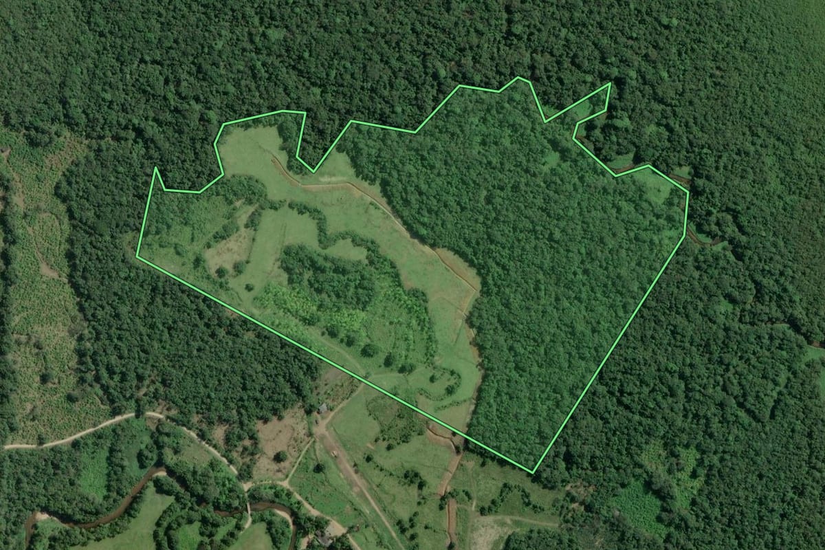 Imagem de satélite do imóvel rural em Sete Barras (SP), com o contorno declarado no CAR desenhado por cima.