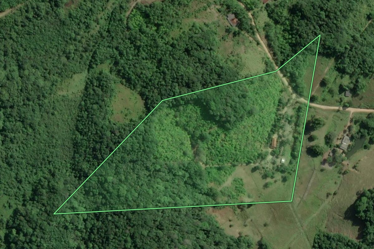 Imagem de satélite do imóvel rural em Sete Barras (SP), com o contorno declarado no CAR desenhado por cima.