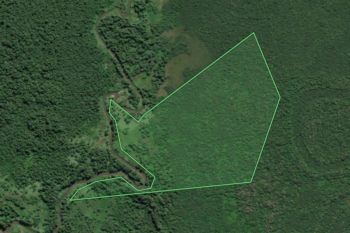 Imagem de satélite do imóvel rural em Sete Barras (SP), com o contorno declarado no CAR desenhado por cima.