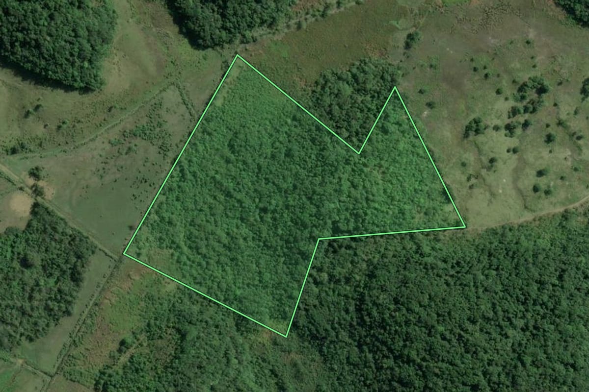 Imagem de satélite do imóvel rural em Sete Barras (SP), com o contorno declarado no CAR desenhado por cima.