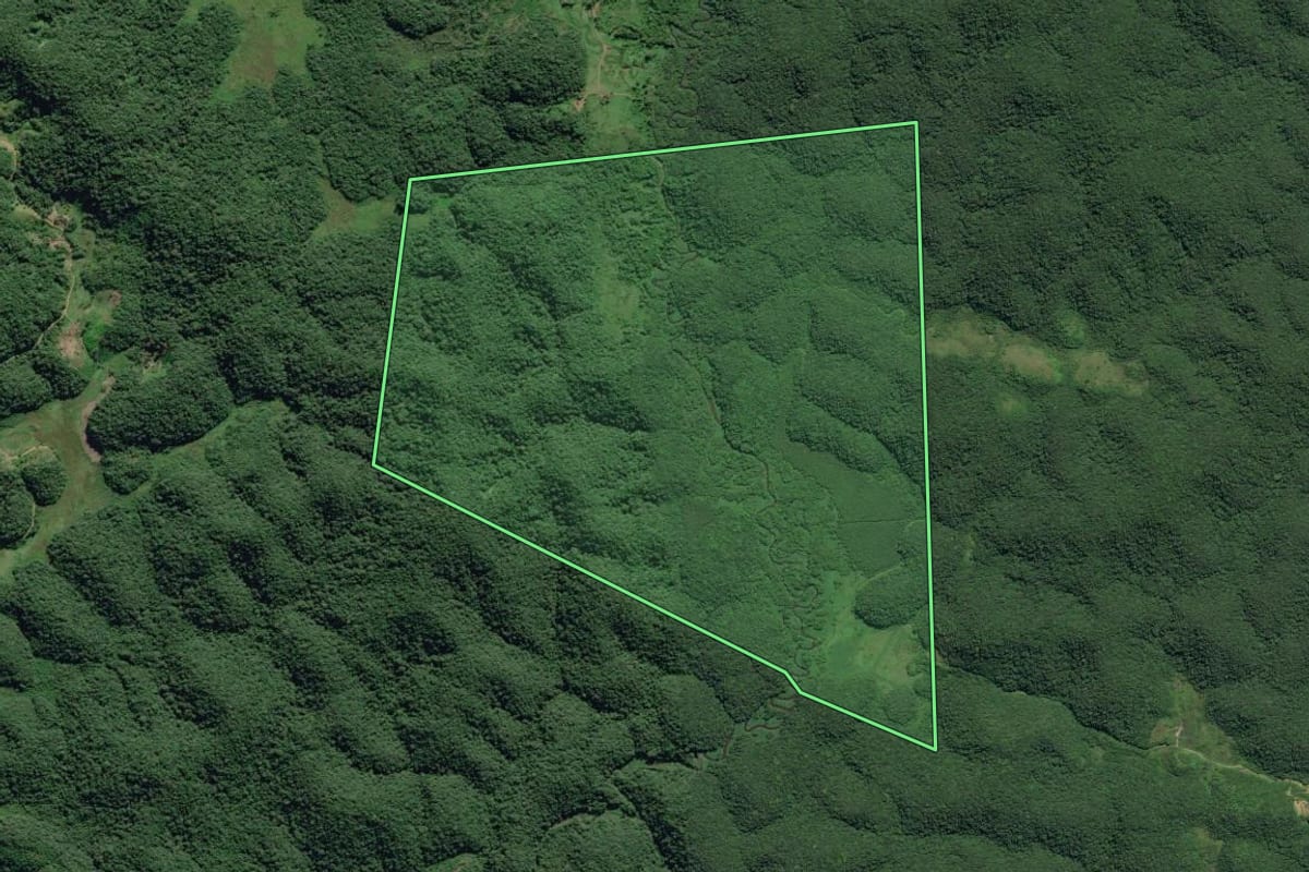 Imagem de satélite do imóvel rural em Sete Barras (SP), com o contorno declarado no CAR desenhado por cima.