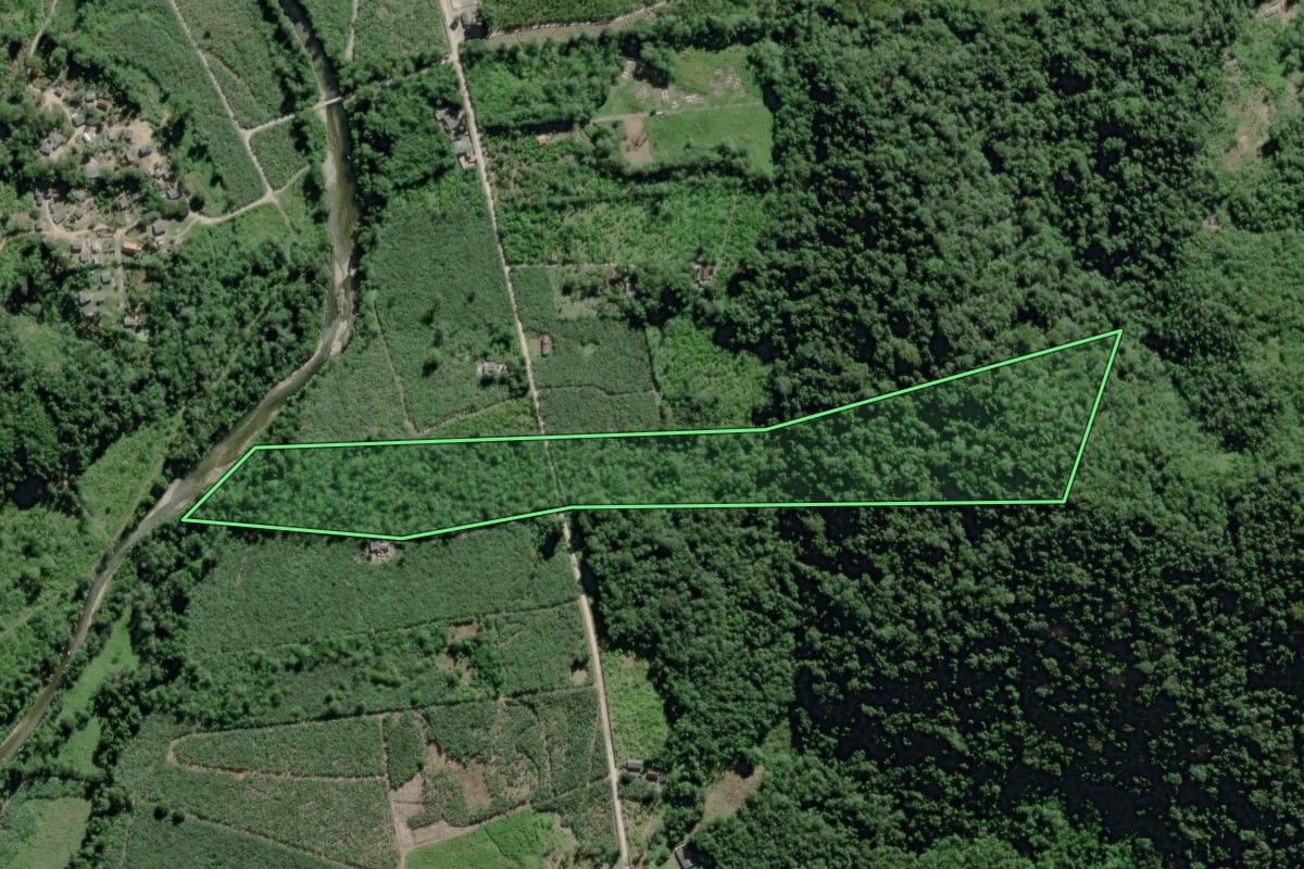Imagem de satélite do imóvel rural em Sete Barras (SP), com o contorno declarado no CAR desenhado por cima.