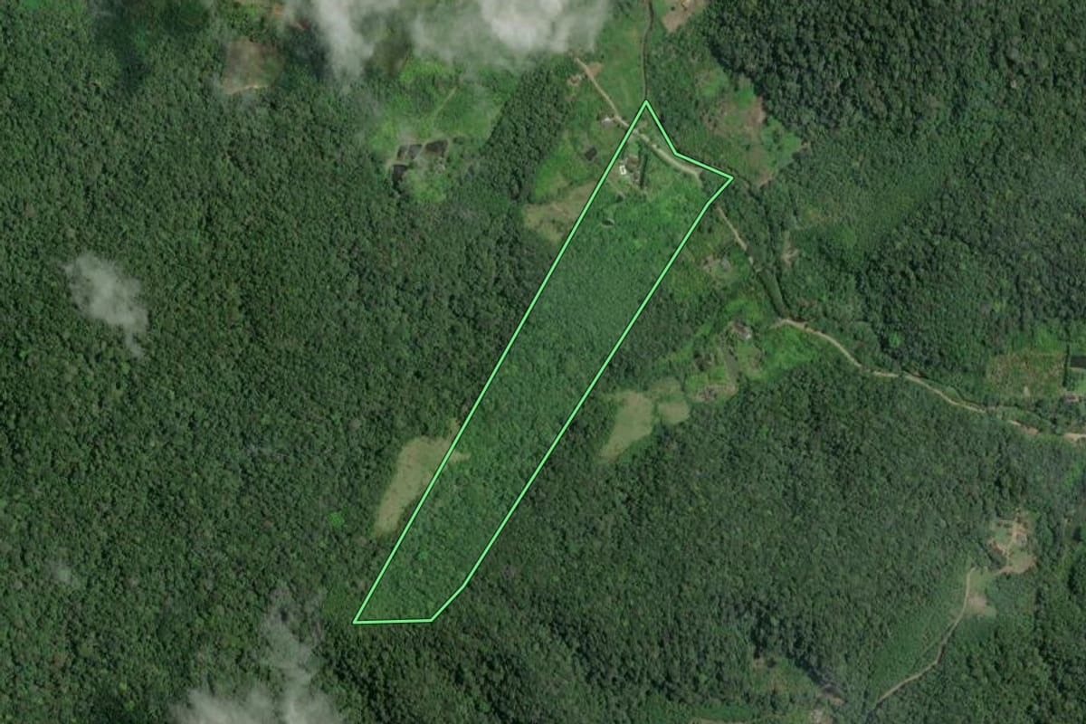 Imagem de satélite do imóvel rural em Sete Barras (SP), com o contorno declarado no CAR desenhado por cima.