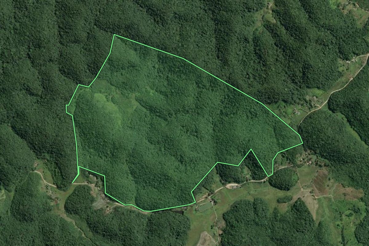 Imagem de satélite do imóvel rural em Sete Barras (SP), com o contorno declarado no CAR desenhado por cima.