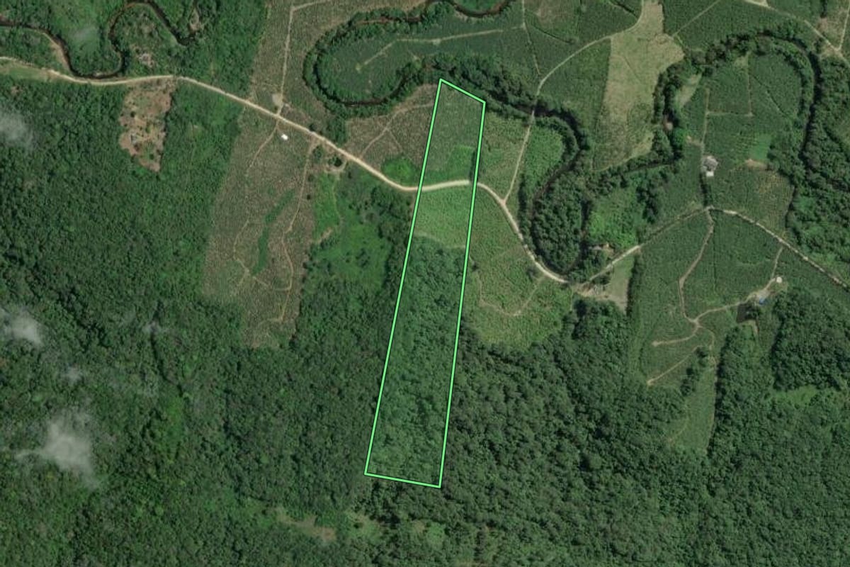 Imagem de satélite do imóvel rural em Sete Barras (SP), com o contorno declarado no CAR desenhado por cima.