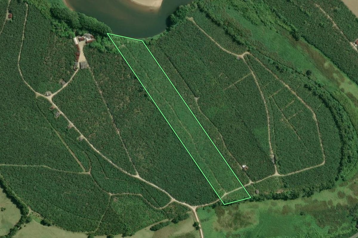 Imagem de satélite do imóvel rural em Sete Barras (SP), com o contorno declarado no CAR desenhado por cima.