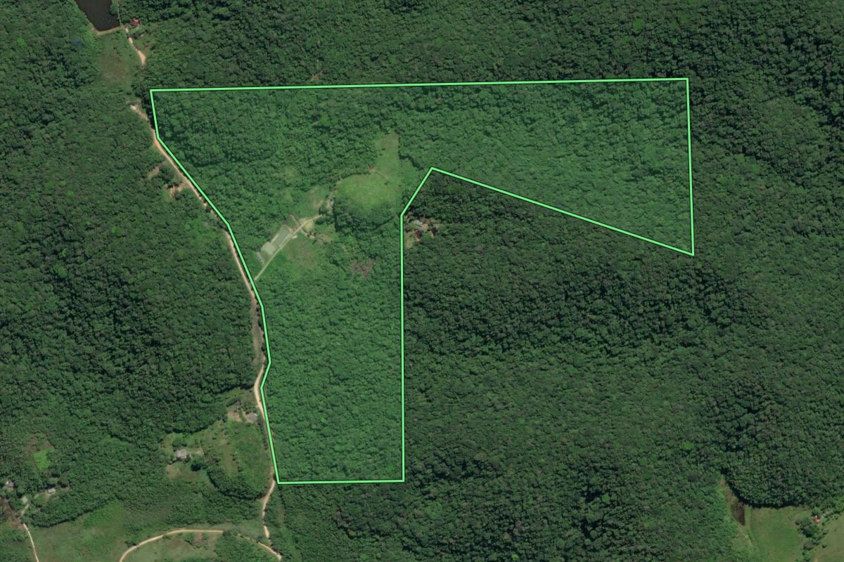Imagem de satélite do imóvel rural em Sete Barras (SP), com o contorno declarado no CAR desenhado por cima.