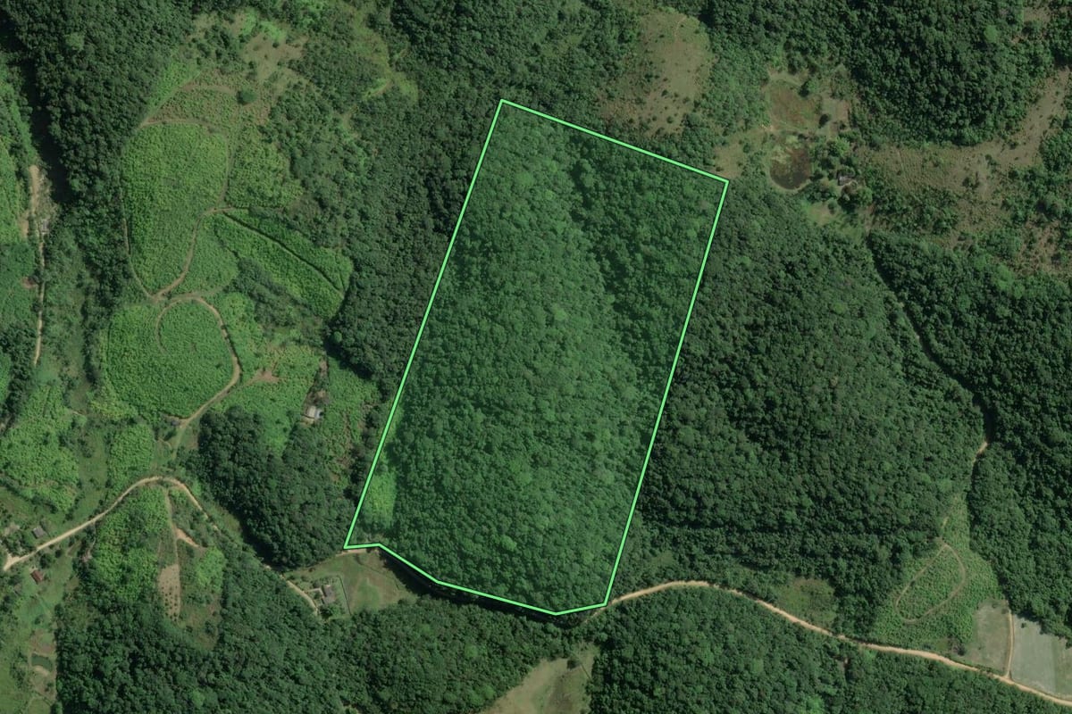 Imagem de satélite do imóvel rural em Sete Barras (SP), com o contorno declarado no CAR desenhado por cima.