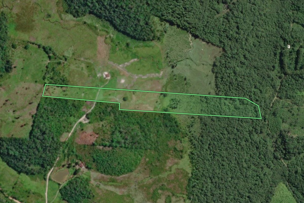 Imagem de satélite do imóvel rural em Sete Barras (SP), com o contorno declarado no CAR desenhado por cima.