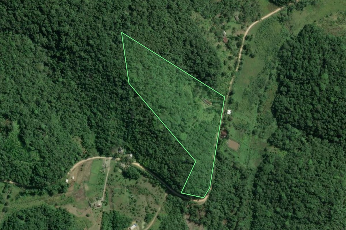 Imagem de satélite do imóvel rural em Sete Barras (SP), com o contorno declarado no CAR desenhado por cima.