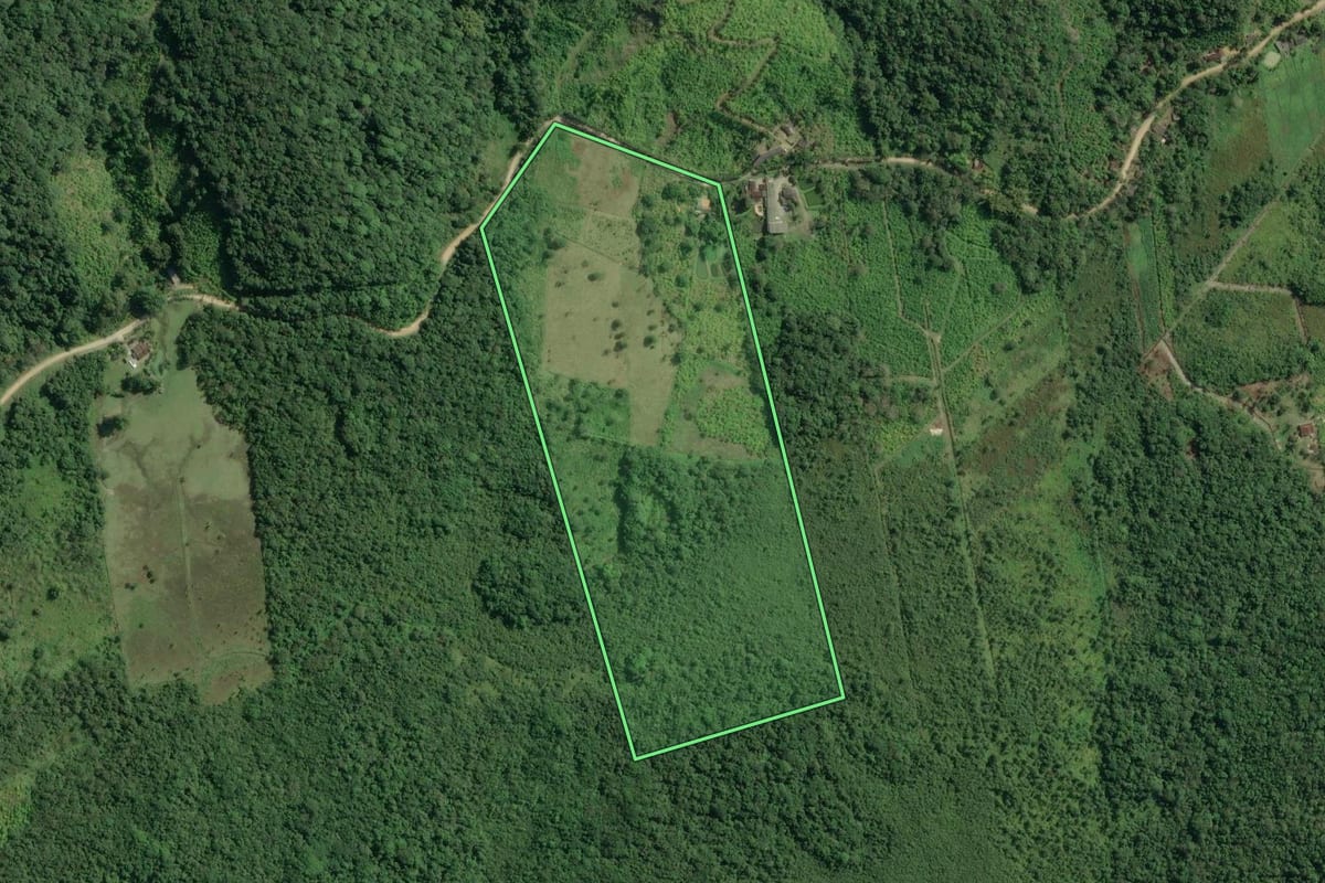 Imagem de satélite do imóvel rural em Sete Barras (SP), com o contorno declarado no CAR desenhado por cima.