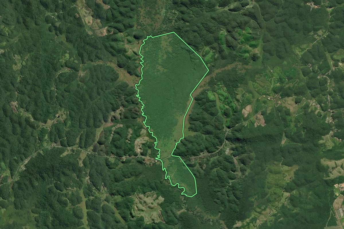 Imagem de satélite do imóvel rural em Sete Barras (SP), com o contorno declarado no CAR desenhado por cima.