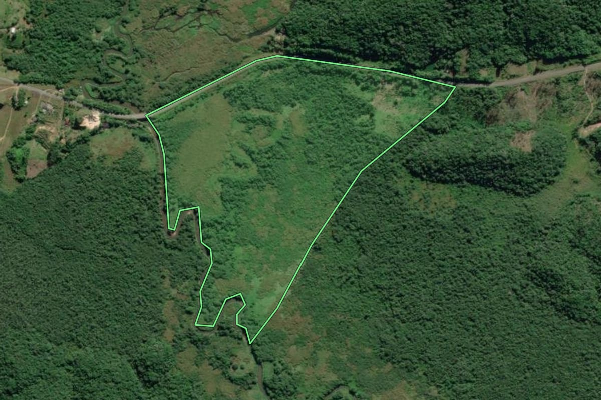 Imagem de satélite do imóvel rural em Sete Barras (SP), com o contorno declarado no CAR desenhado por cima.
