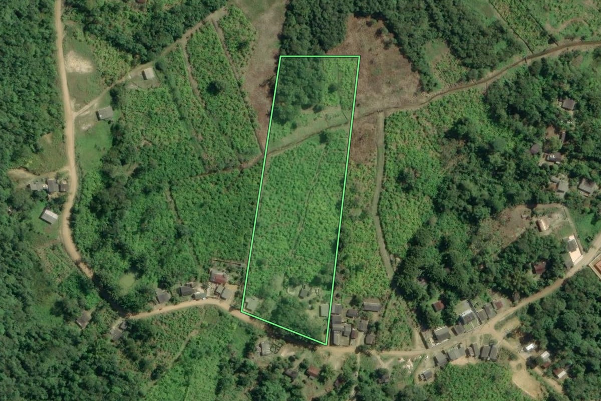Imagem de satélite do imóvel rural em Sete Barras (SP), com o contorno declarado no CAR desenhado por cima.