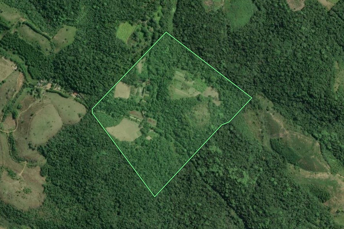 Imagem de satélite do imóvel rural em Sete Barras (SP), com o contorno declarado no CAR desenhado por cima.