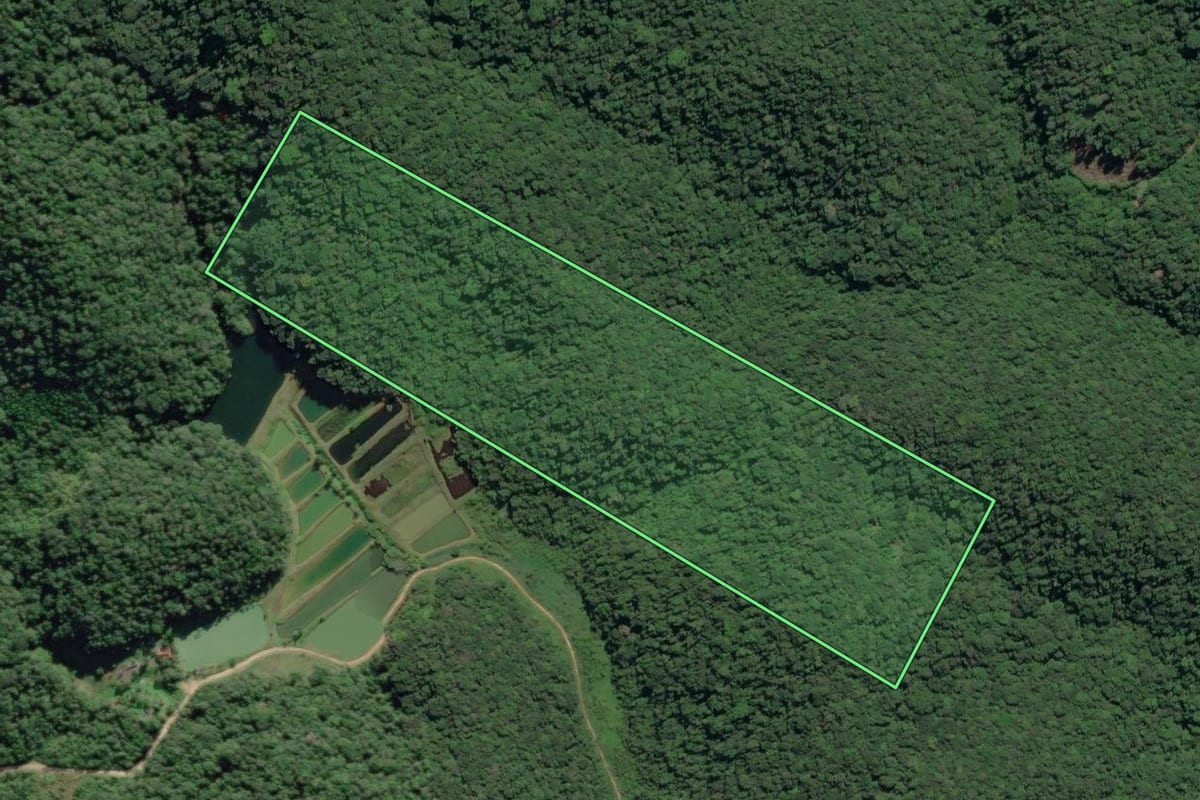 Imagem de satélite do imóvel rural em Sete Barras (SP), com o contorno declarado no CAR desenhado por cima.