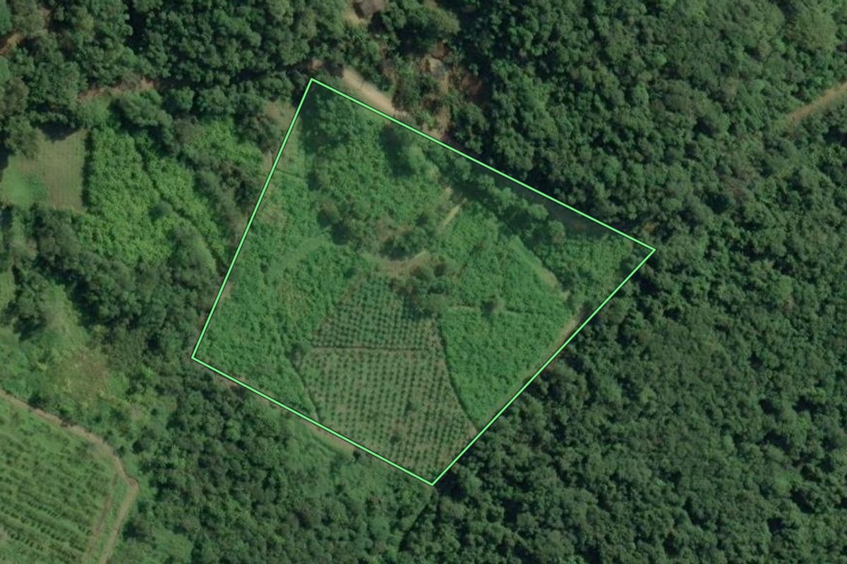 Imagem de satélite do imóvel rural em Sete Barras (SP), com o contorno declarado no CAR desenhado por cima.
