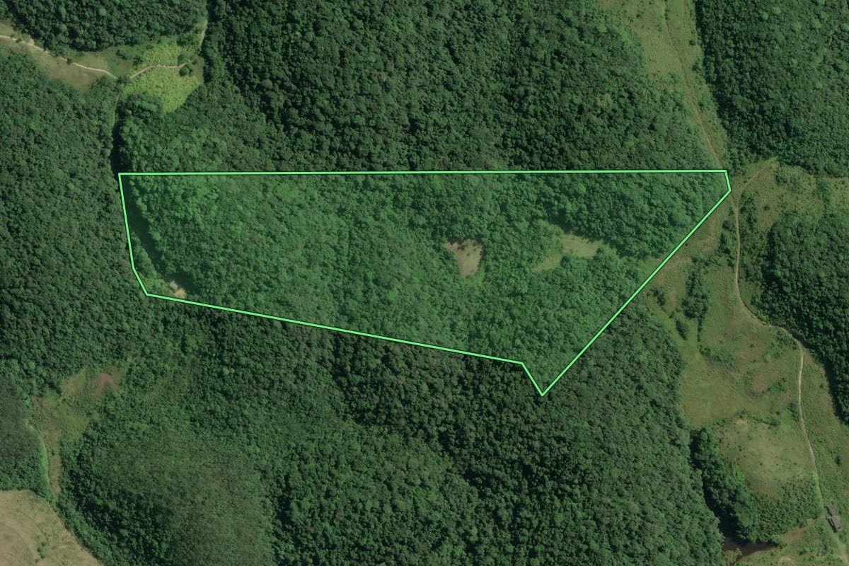 Imagem de satélite do imóvel rural em Sete Barras (SP), com o contorno declarado no CAR desenhado por cima.