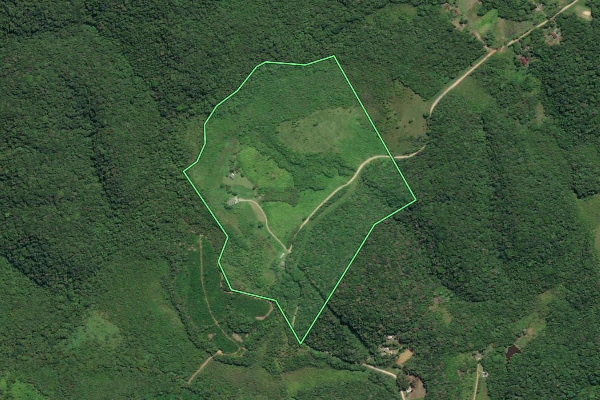 Imagem de satélite do imóvel rural em Sete Barras (SP), com o contorno declarado no CAR desenhado por cima.