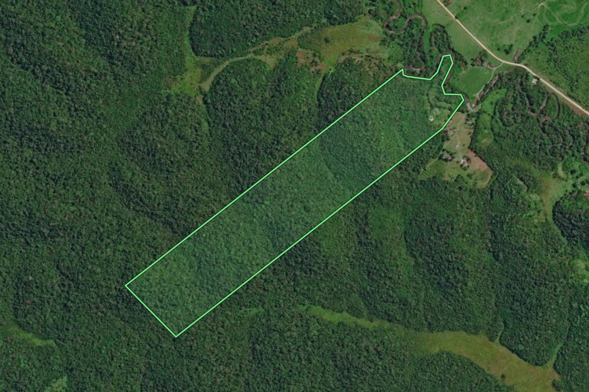 Imagem de satélite do imóvel rural em Eldorado (SP), com o contorno declarado no CAR desenhado por cima.