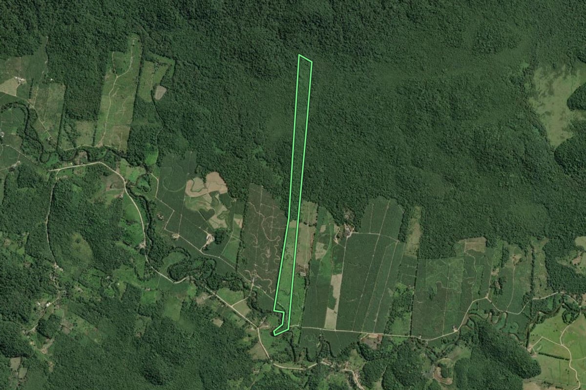 Imagem de satélite do imóvel rural em Sete Barras (SP), com o contorno declarado no CAR desenhado por cima.