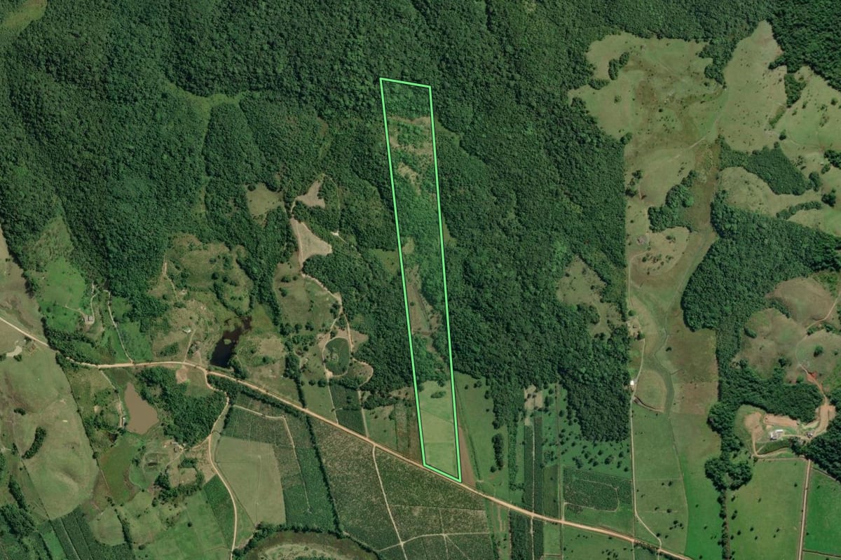 Imagem de satélite do imóvel rural em Sete Barras (SP), com o contorno declarado no CAR desenhado por cima.