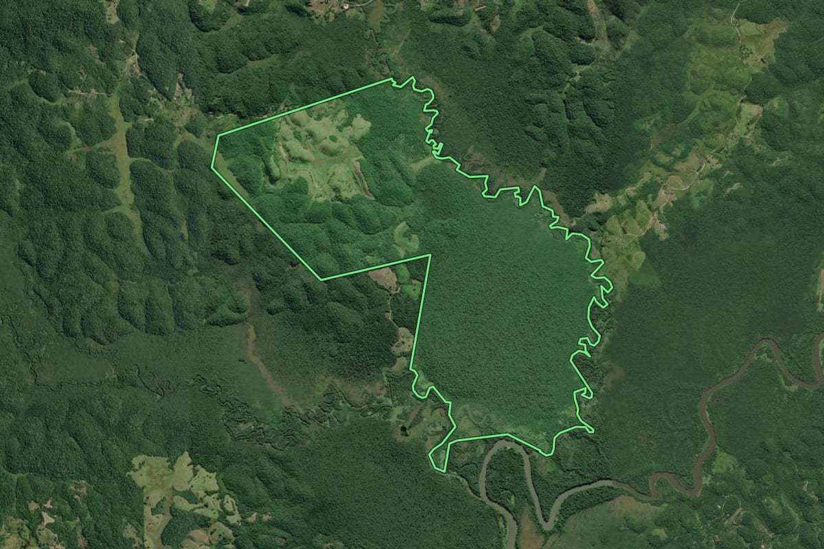 Imagem de satélite do imóvel rural em Sete Barras (SP), com o contorno declarado no CAR desenhado por cima.
