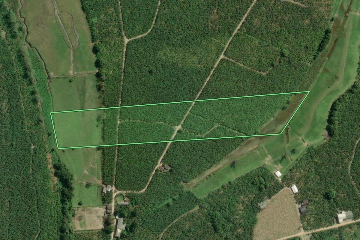 Imagem de satélite do imóvel rural em Sete Barras (SP), com o contorno declarado no CAR desenhado por cima.