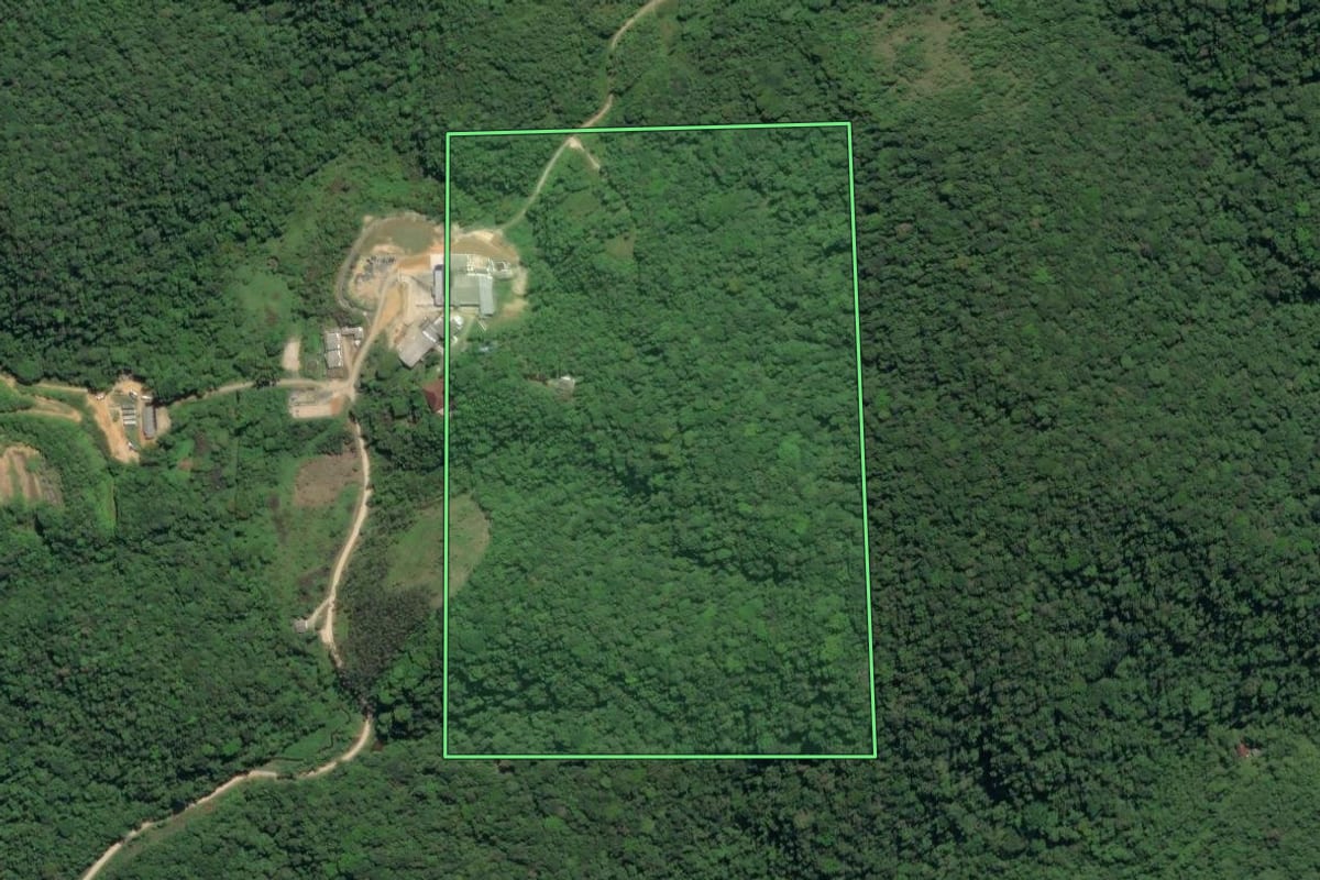 Imagem de satélite do imóvel rural em Sete Barras (SP), com o contorno declarado no CAR desenhado por cima.
