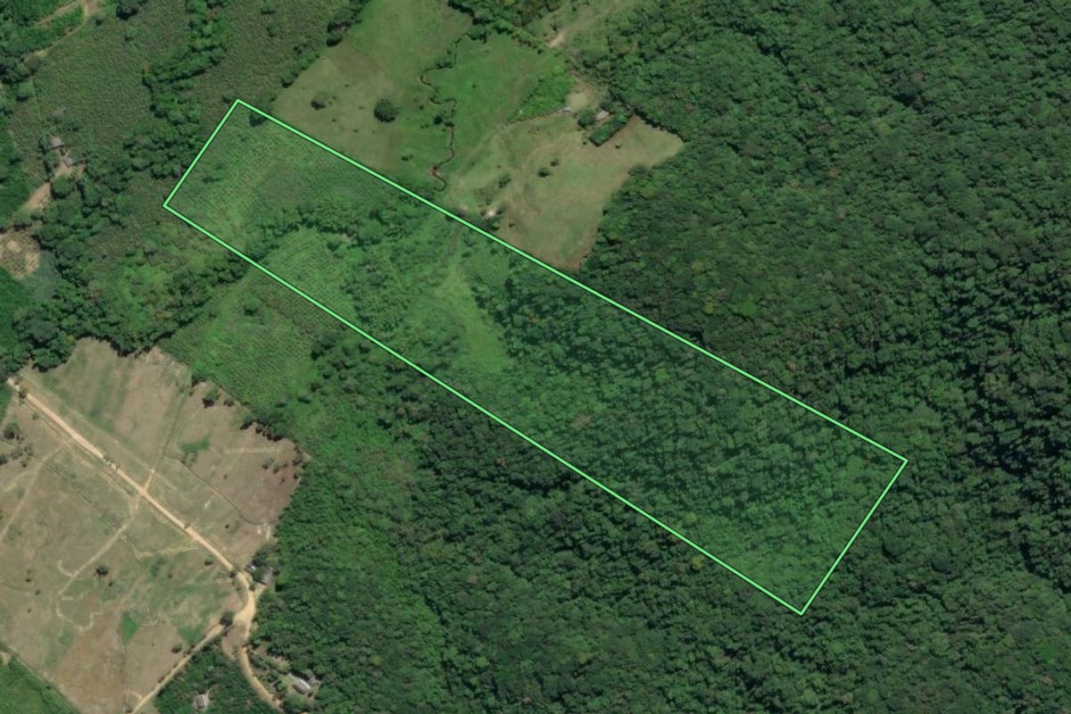Imagem de satélite do imóvel rural em Sete Barras (SP), com o contorno declarado no CAR desenhado por cima.