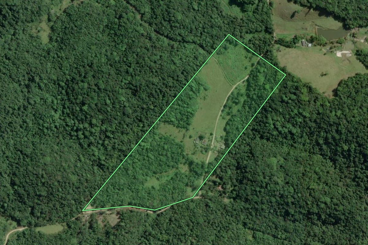 Imagem de satélite do imóvel rural em Sete Barras (SP), com o contorno declarado no CAR desenhado por cima.