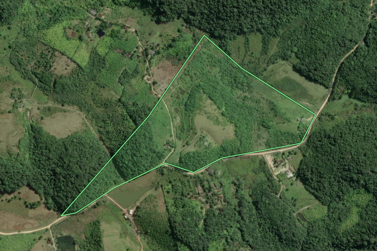 Imagem de satélite do imóvel rural em Sete Barras (SP), com o contorno declarado no CAR desenhado por cima.