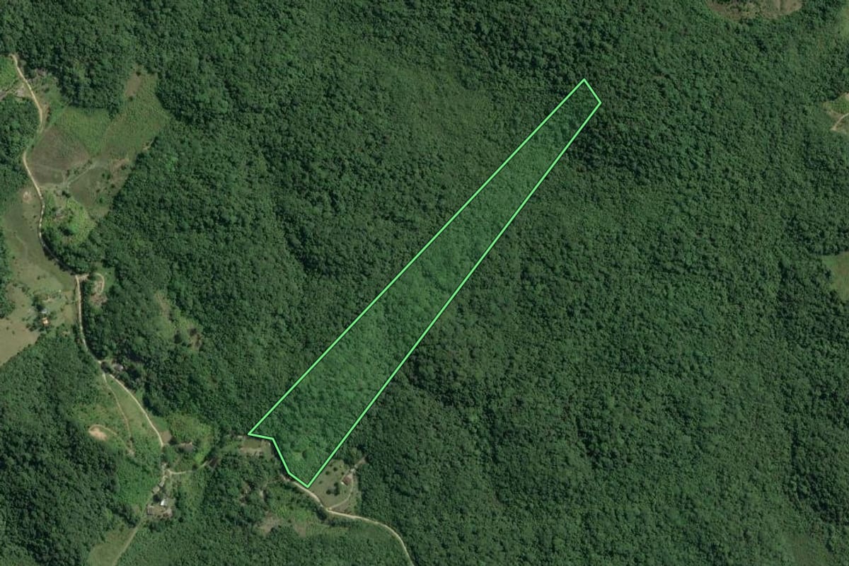 Imagem de satélite do imóvel rural em Sete Barras (SP), com o contorno declarado no CAR desenhado por cima.