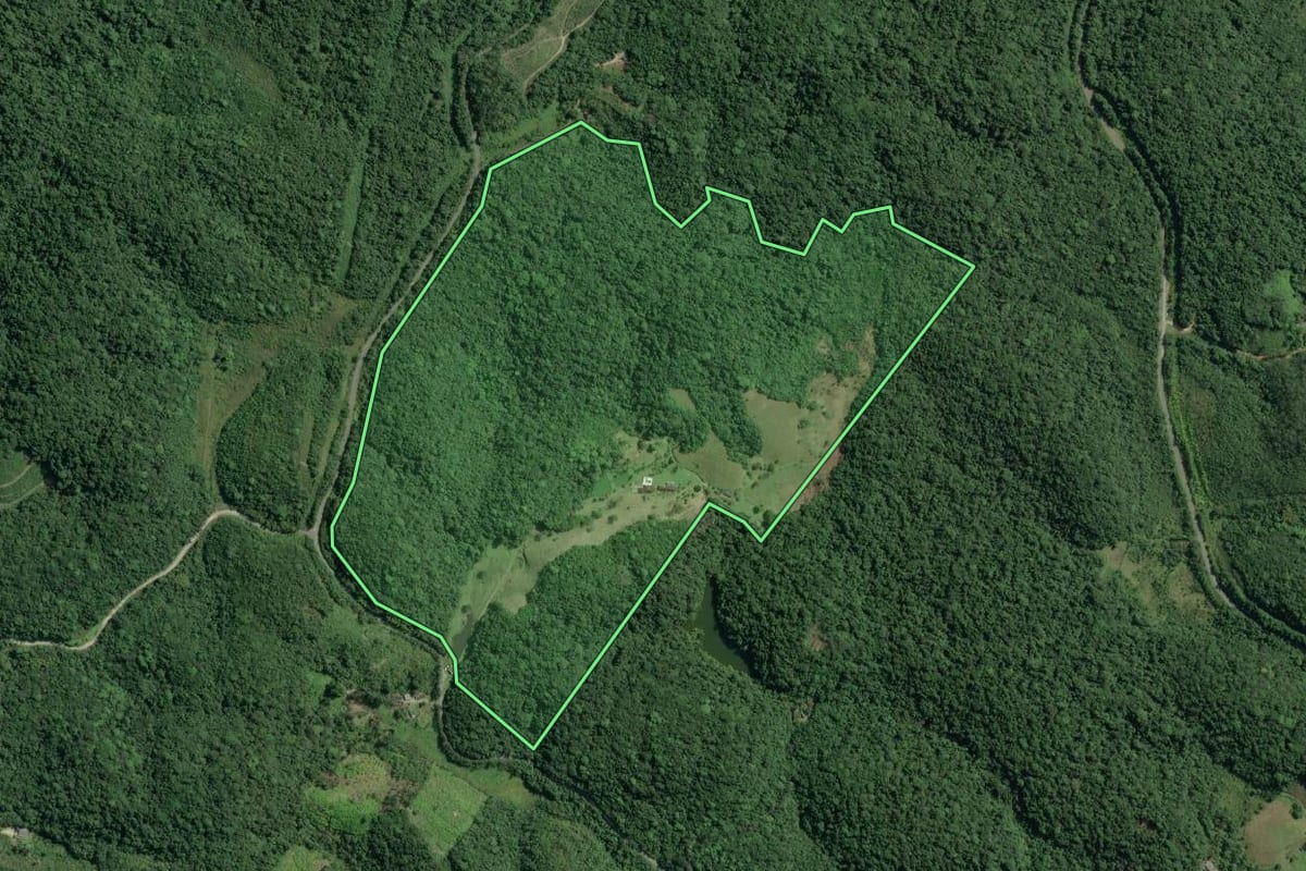 Imagem de satélite do imóvel rural em Sete Barras (SP), com o contorno declarado no CAR desenhado por cima.