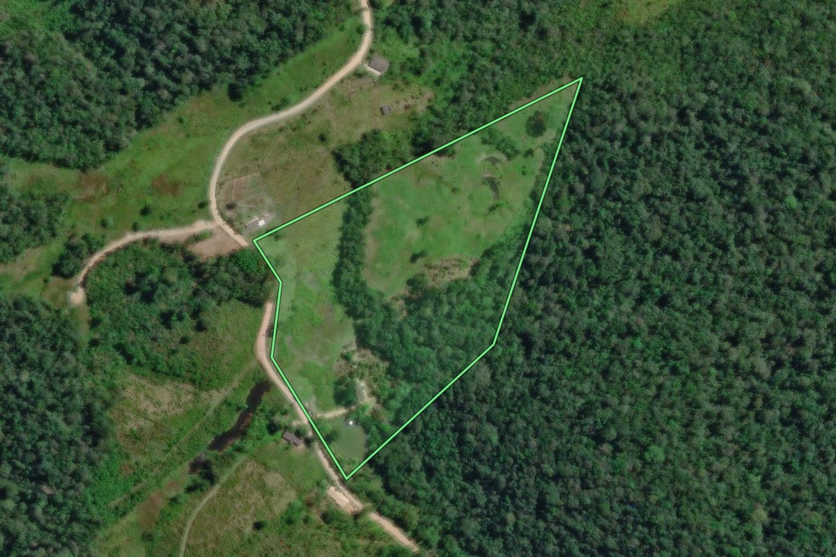 Imagem de satélite do imóvel rural em Sete Barras (SP), com o contorno declarado no CAR desenhado por cima.