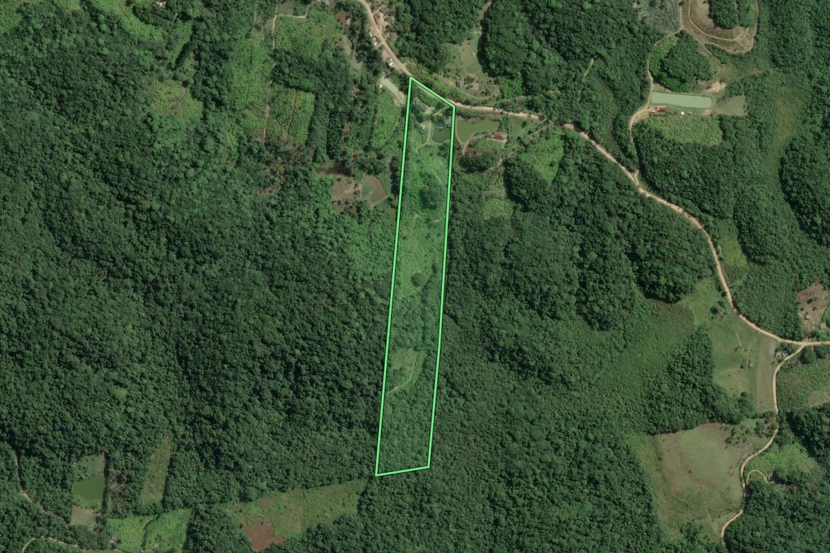 Imagem de satélite do imóvel rural em Sete Barras (SP), com o contorno declarado no CAR desenhado por cima.