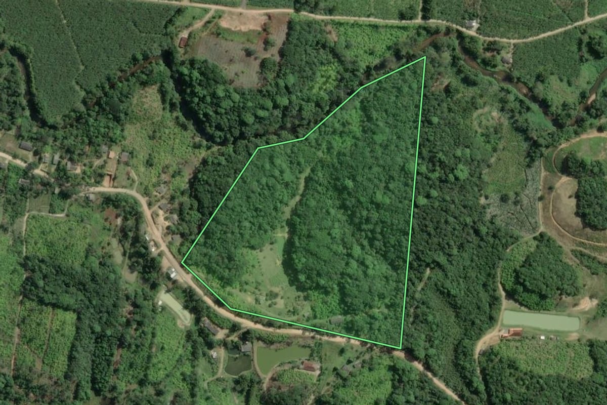 Imagem de satélite do imóvel rural em Sete Barras (SP), com o contorno declarado no CAR desenhado por cima.