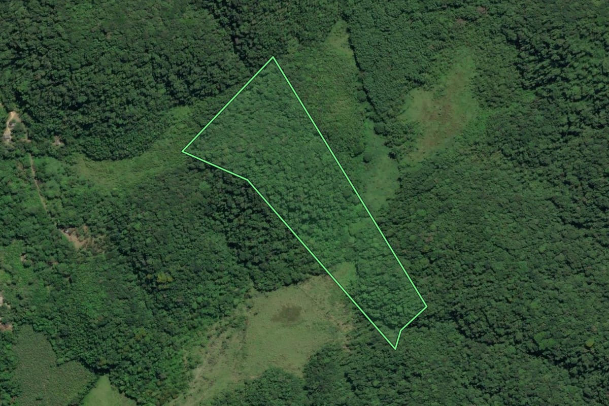 Imagem de satélite do imóvel rural em Sete Barras (SP), com o contorno declarado no CAR desenhado por cima.