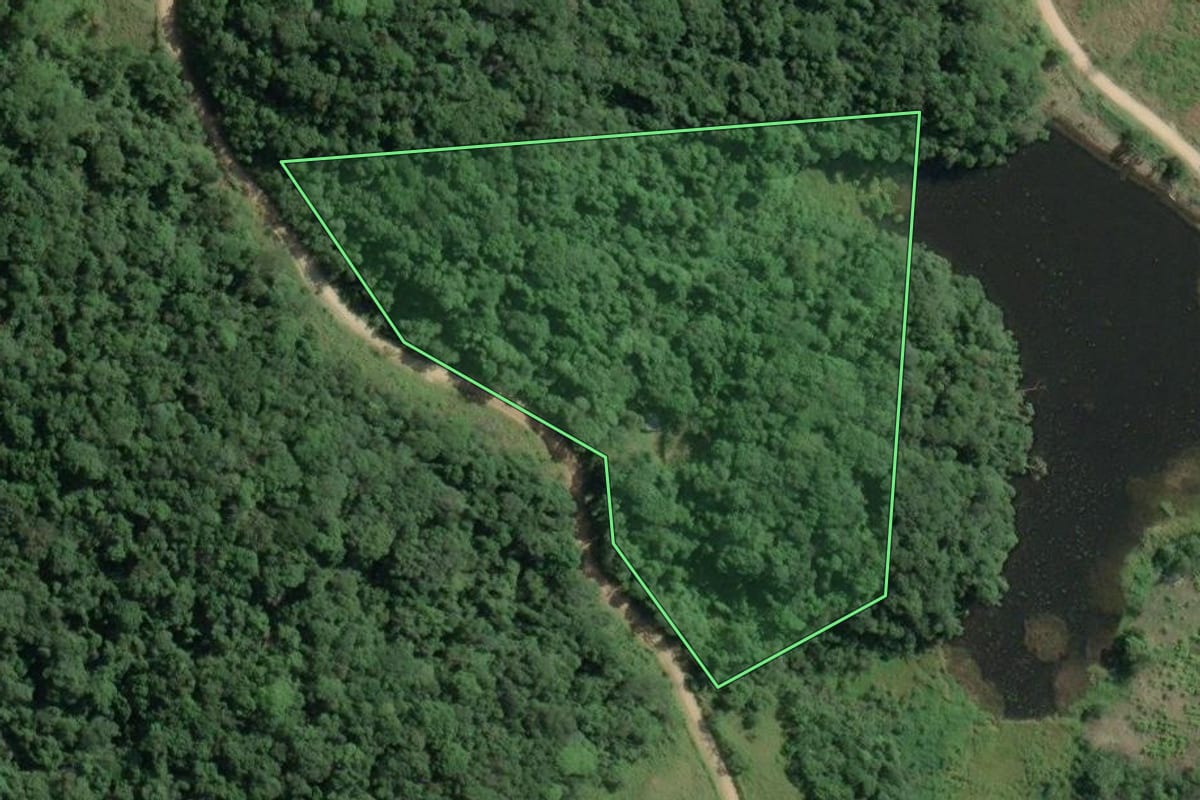 Imagem de satélite do imóvel rural em Sete Barras (SP), com o contorno declarado no CAR desenhado por cima.