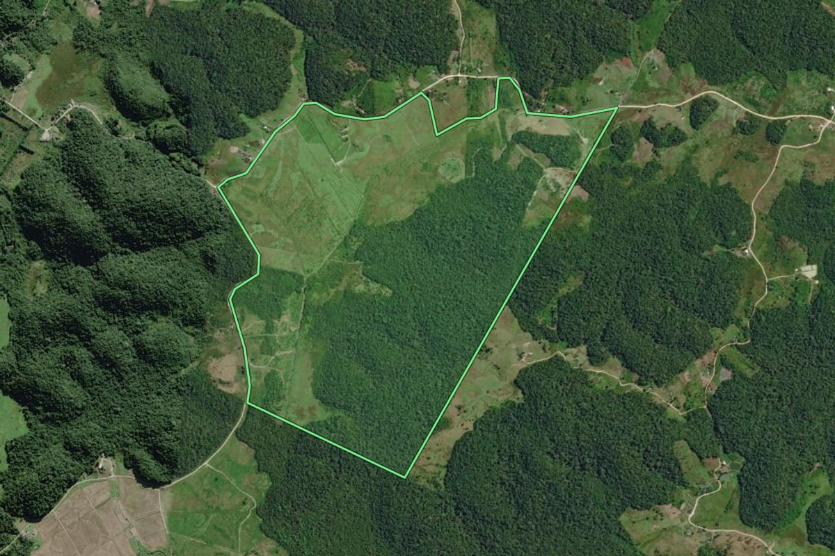 Imagem de satélite do imóvel rural em Sete Barras (SP), com o contorno declarado no CAR desenhado por cima.