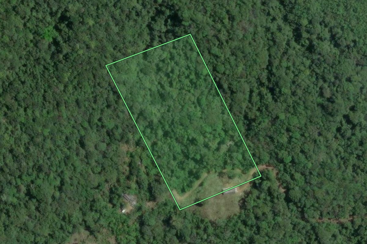 Imagem de satélite do imóvel rural em Sete Barras (SP), com o contorno declarado no CAR desenhado por cima.