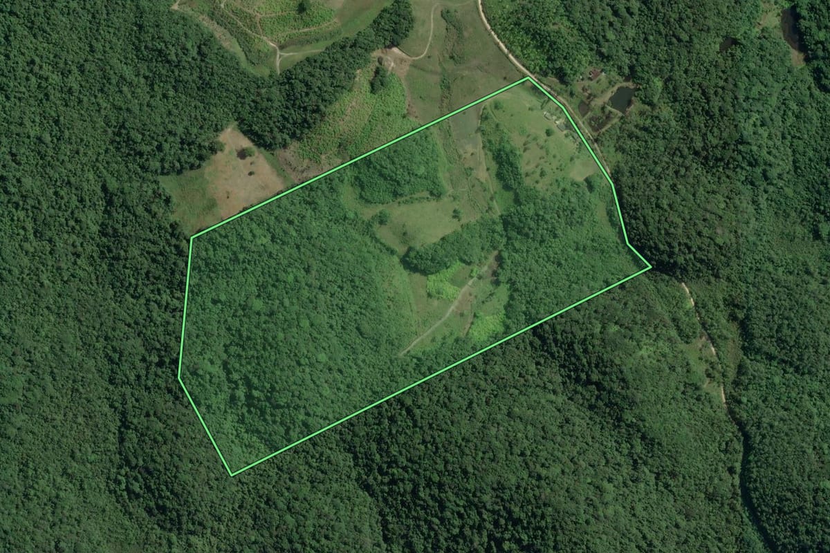 Imagem de satélite do imóvel rural em Sete Barras (SP), com o contorno declarado no CAR desenhado por cima.